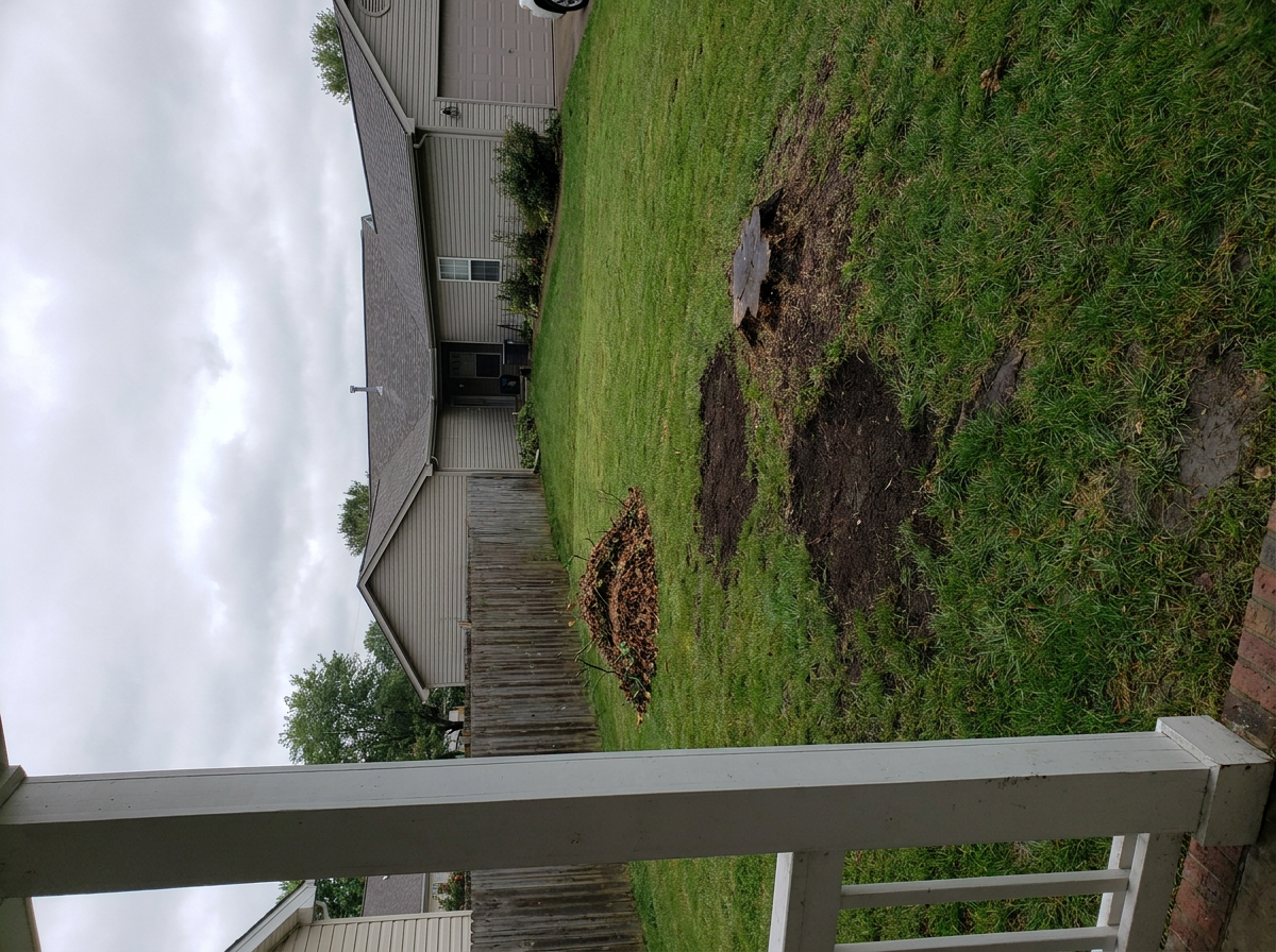Emergency storm cleanup after